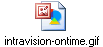 intravision-ontime.gif
